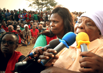 our land our freedom