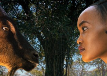 The poster for Kenyan supernatural folk thriller Goat by Judy Kibinge.