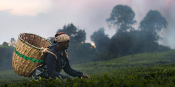 A still from Kenyan documentary Kikuyu Land which premiered at the 2026 Sundance Film Festival.