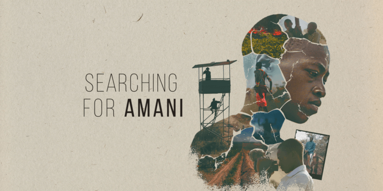 Kenyan documentary Searching for Amani nominated for News & Documentary Emmy Awards.